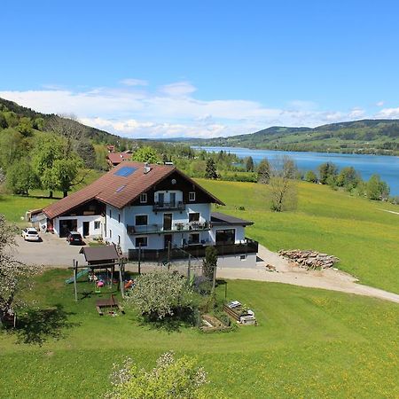 Bauernhof Schink Villa Zell am Moos Exteriör bild