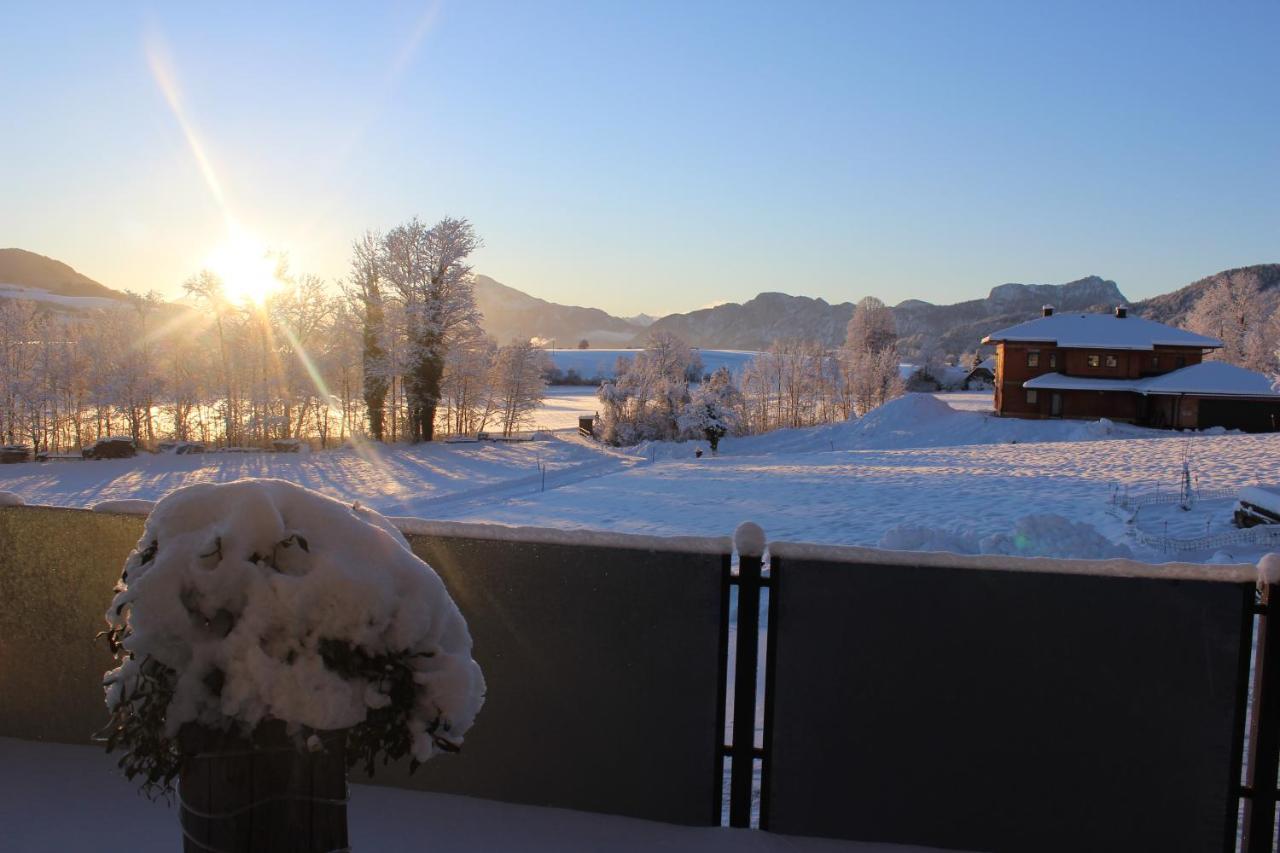 Bauernhof Schink Villa Zell am Moos Exteriör bild