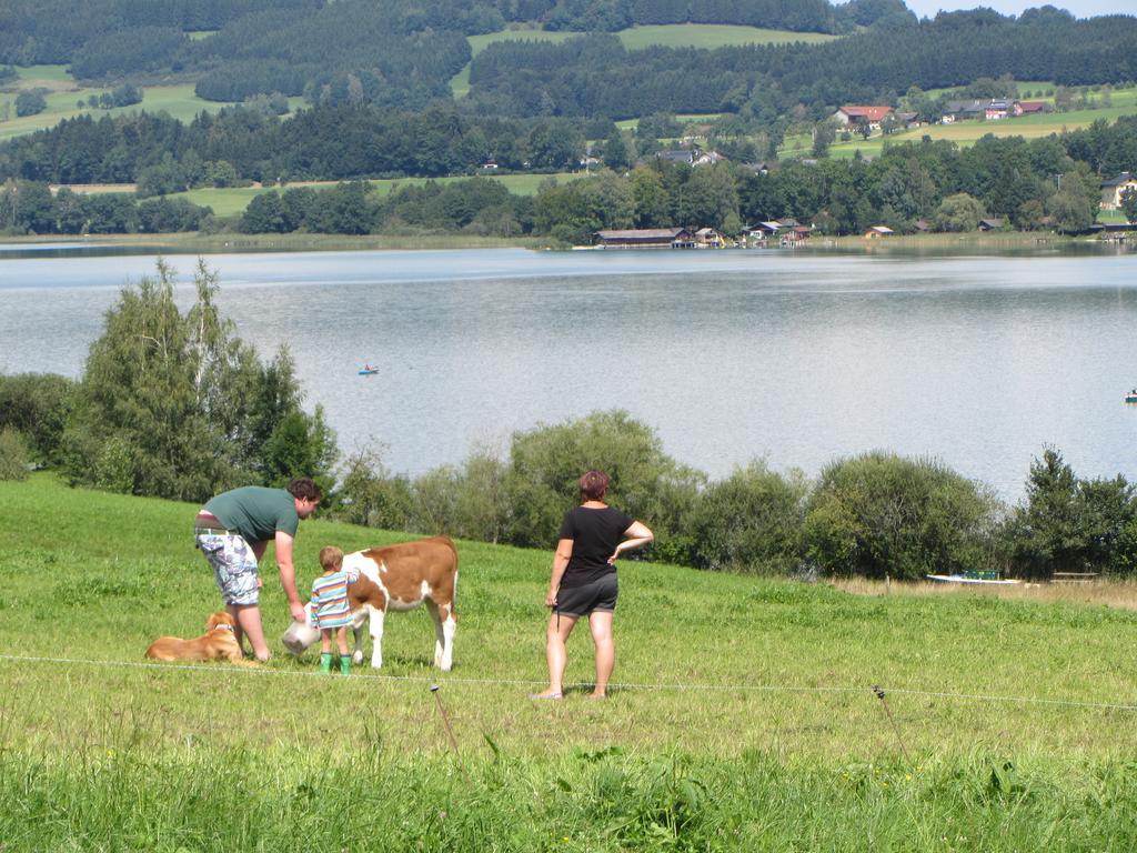 Bauernhof Schink Villa Zell am Moos Exteriör bild