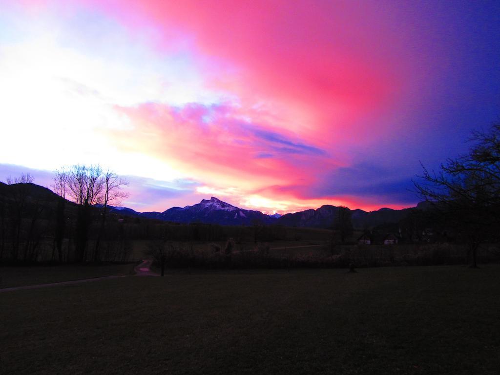 Bauernhof Schink Villa Zell am Moos Exteriör bild