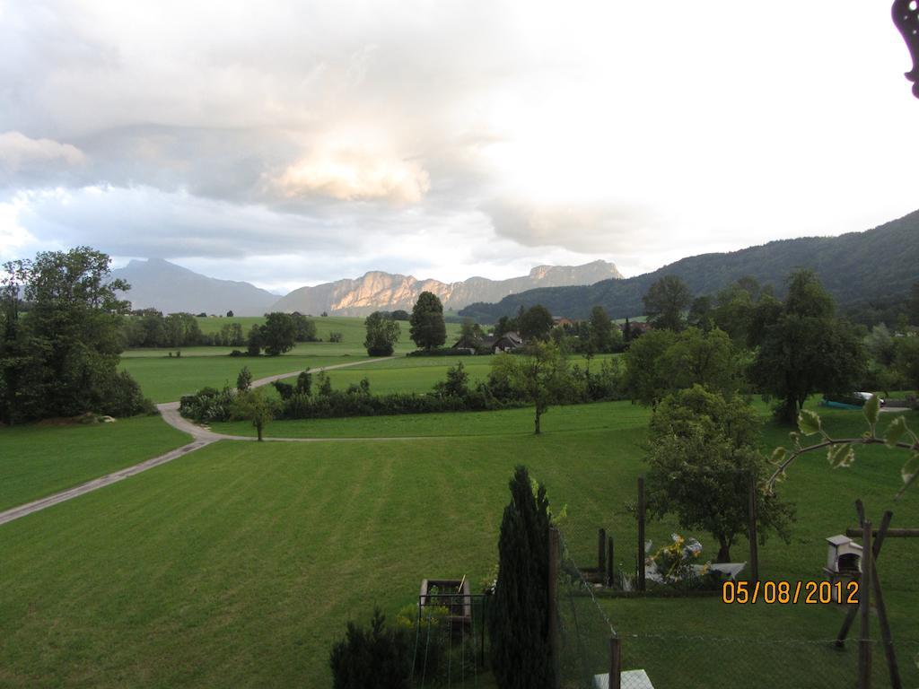 Bauernhof Schink Villa Zell am Moos Rum bild