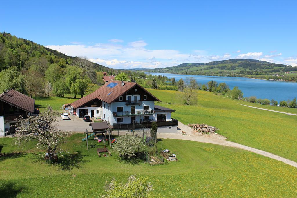 Bauernhof Schink Villa Zell am Moos Exteriör bild
